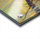 Tom Thomson 7 Acrylic print