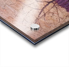 Tom Thomson 10 Acrylic print