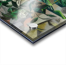 Auguste Herbin 8 Acrylic print