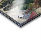 Auguste Herbin 50 Acrylic print