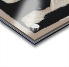 Robert Motherwell 16 Acrylic print