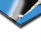 Robert Motherwell 31 Acrylic print