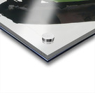 Robert Motherwell 39 Acrylic print