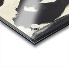 Robert Motherwell 44 Acrylic print