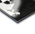 Robert Motherwell 48 Acrylic print