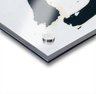 Robert Motherwell 5 Acrylic print