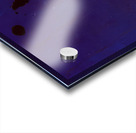 Robert Motherwell 21 Acrylic print