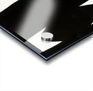 Robert Motherwell 25 Acrylic print