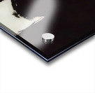 Robert Motherwell 36 Acrylic print