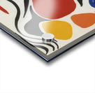 Alexander Calder 10 Acrylic print