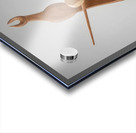 Alexander Calder 8 Acrylic print