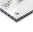 Alexander Calder 24 Acrylic print