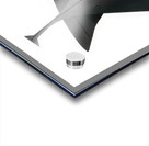 Alexander Calder 27 Acrylic print