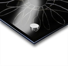 Alexander Calder 45 Acrylic print