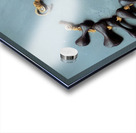 Alexander Calder 48 Acrylic print