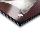 Alexander Calder 15 Acrylic print