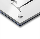 Alexander Calder 25 Acrylic print