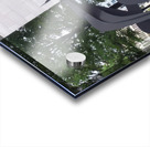 Alexander Calder 27 Acrylic print