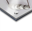 Alexander Calder 31 Acrylic print