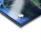 Emily Carr 4 Acrylic print