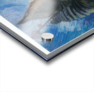 Emily Carr 52 Acrylic print