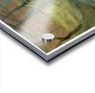 Emily Carr 54 Acrylic print