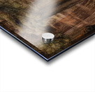 Emily Carr 9 Acrylic print