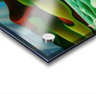 Emily Carr 10 Acrylic print