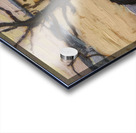 Emily Carr 26 Acrylic print