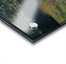 Félix Thiollier 1 Acrylic print