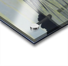 Félix Thiollier 4 Acrylic print