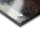 Félix Thiollier 5 Acrylic print