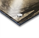 Félix Thiollier 9 Acrylic print