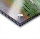 Félix Thiollier 13 Acrylic print