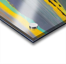 Félix Thiollier 15 Acrylic print