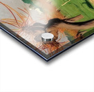 Félix Thiollier 22 Acrylic print