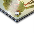 Félix Thiollier 28 Acrylic print