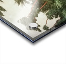 Félix Thiollier 31 Acrylic print