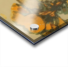 Félix Thiollier 37 Acrylic print