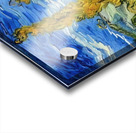 Vincent van Gogh 9 Acrylic print