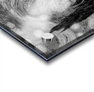 Vincent van Gogh 14 Acrylic print