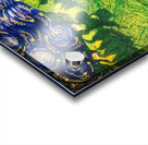 Vincent van Gogh 44 Acrylic print