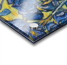 Vincent van Gogh 13 Acrylic print