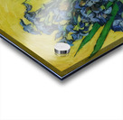 Vincent van Gogh 16 Acrylic print