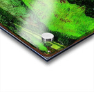 Vincent van Gogh 32 Acrylic print