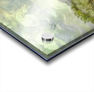 Vincent van Gogh 36 Acrylic print