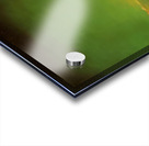 Salvador Dalí 9 Acrylic print