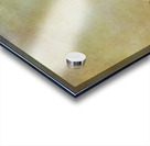 Salvador Dalí 10 Acrylic print