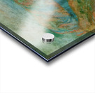 Salvador Dalí 16 Acrylic print