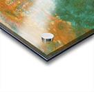 Salvador Dalí 17 Acrylic print